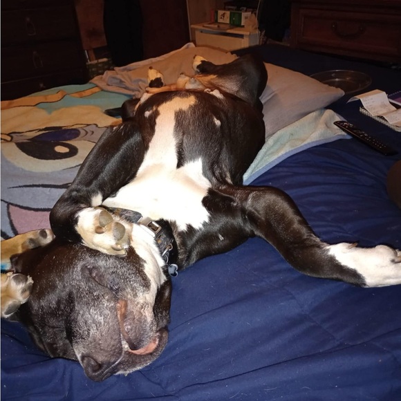 In Memory of Athena Bean - Picture 6 of 12